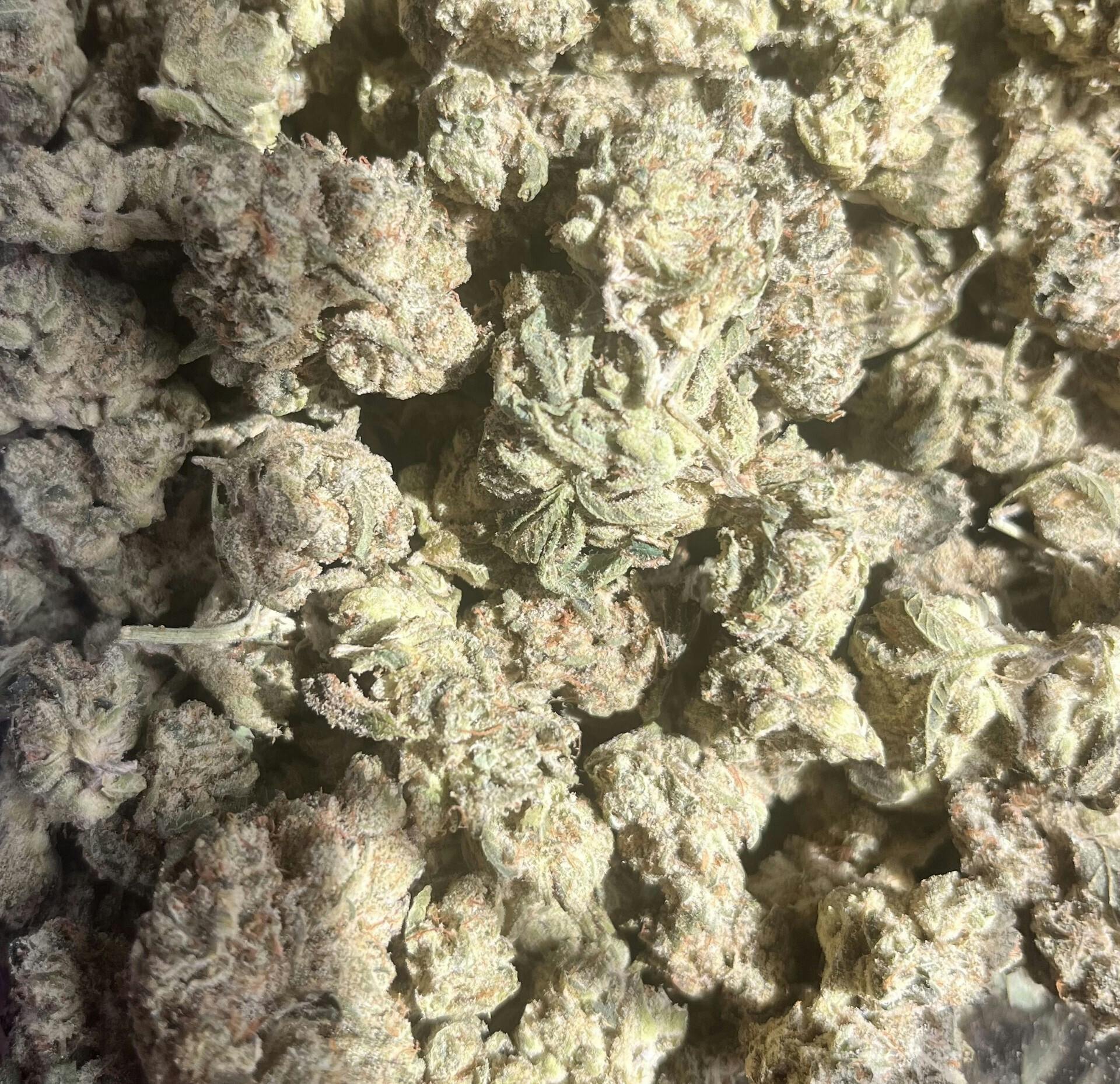 Kings Blend - Bud/Flower at Dakota Kind Dispensary