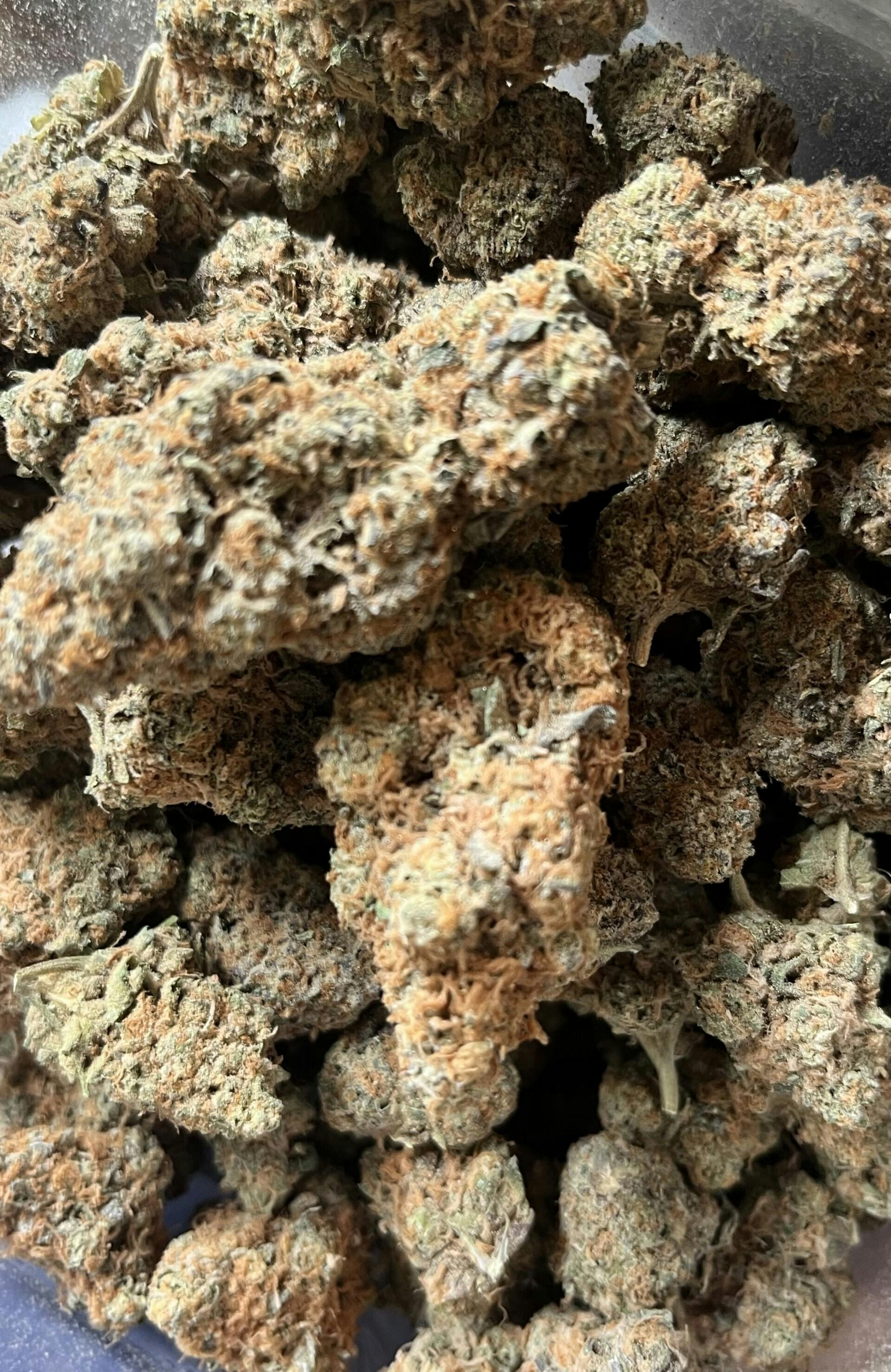 White Dream #1 at Dakota Kind Dispensary