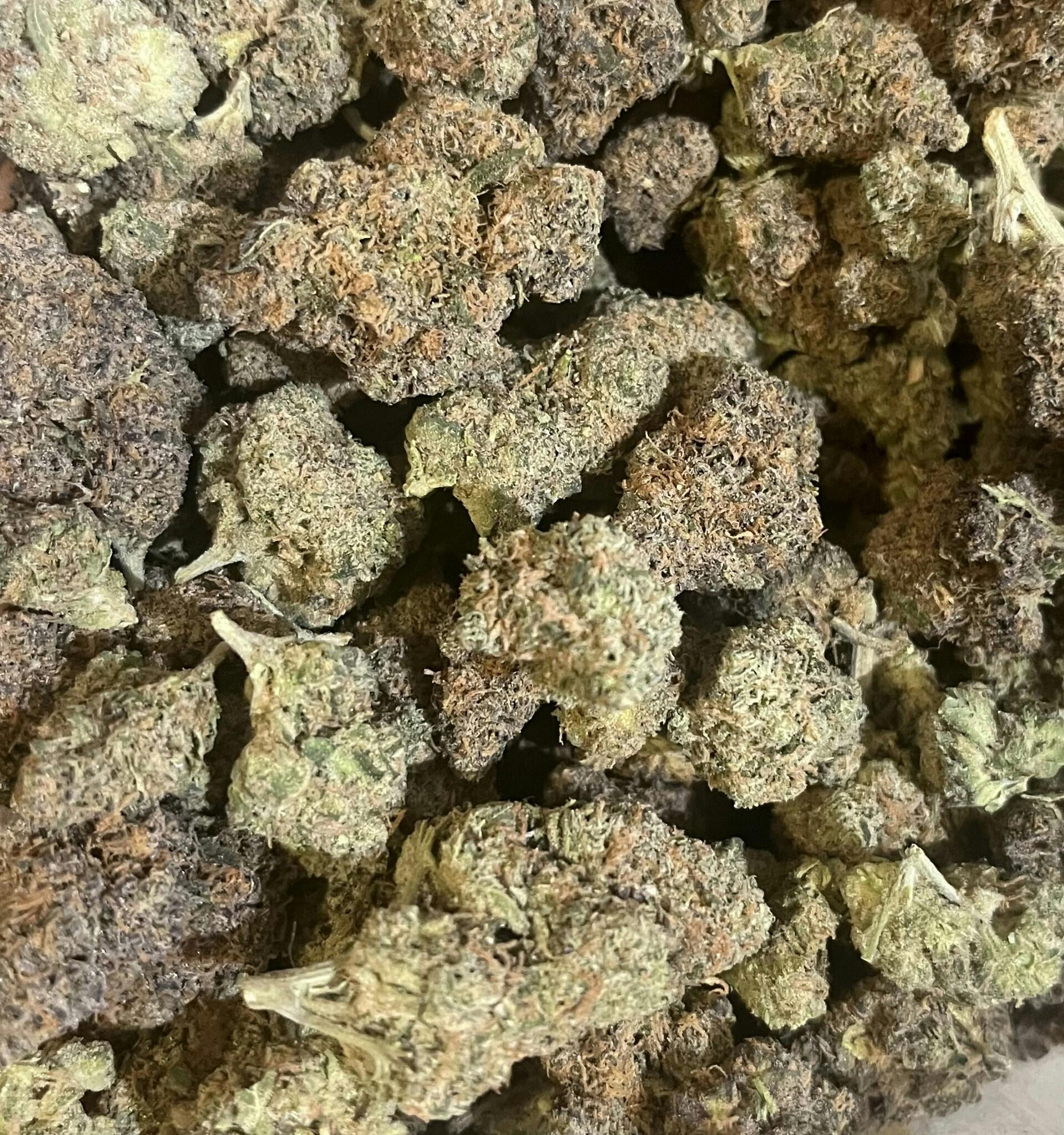 Banana Runtz at Dakota Kind Dispensary