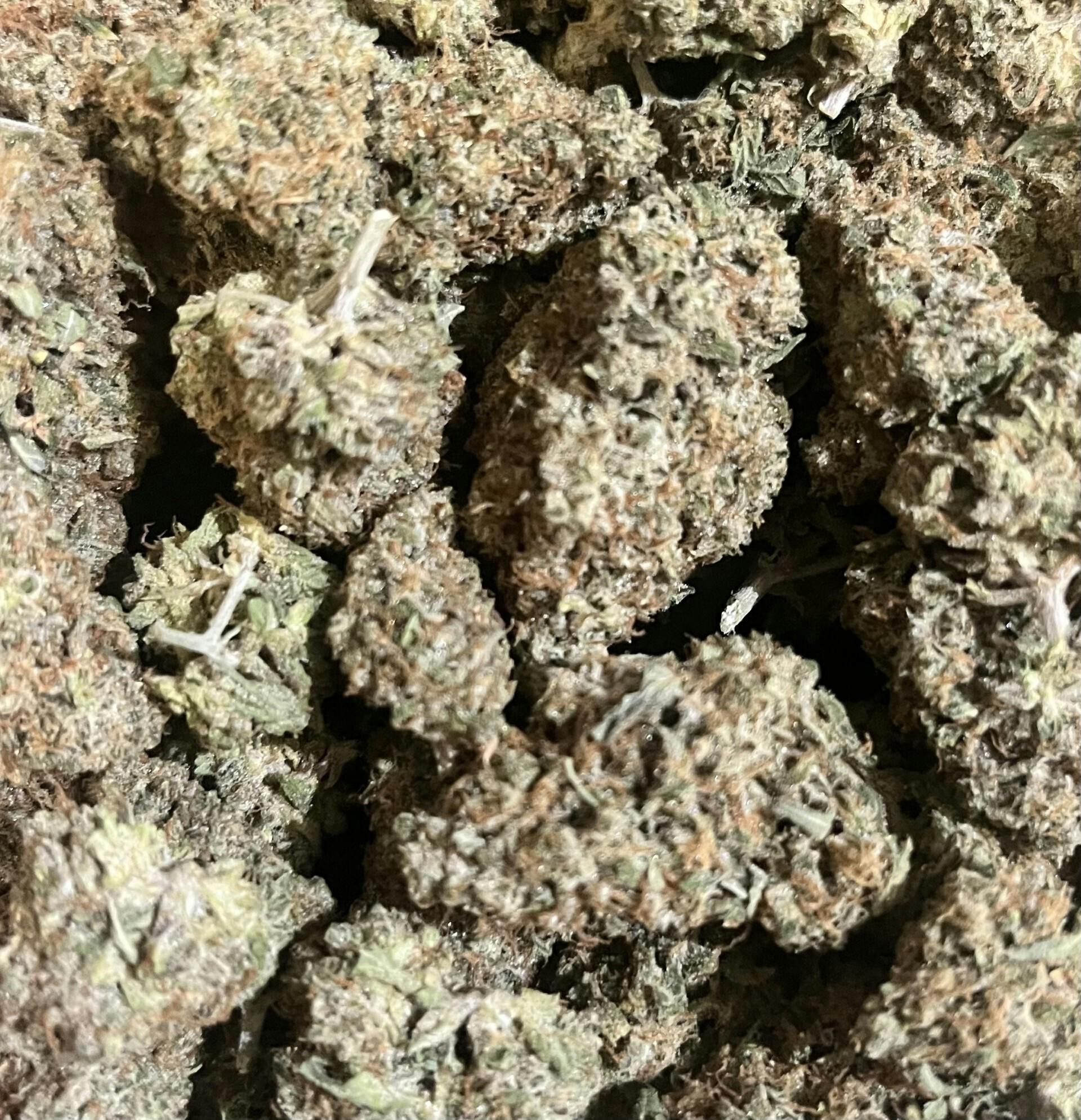 Lemon GP