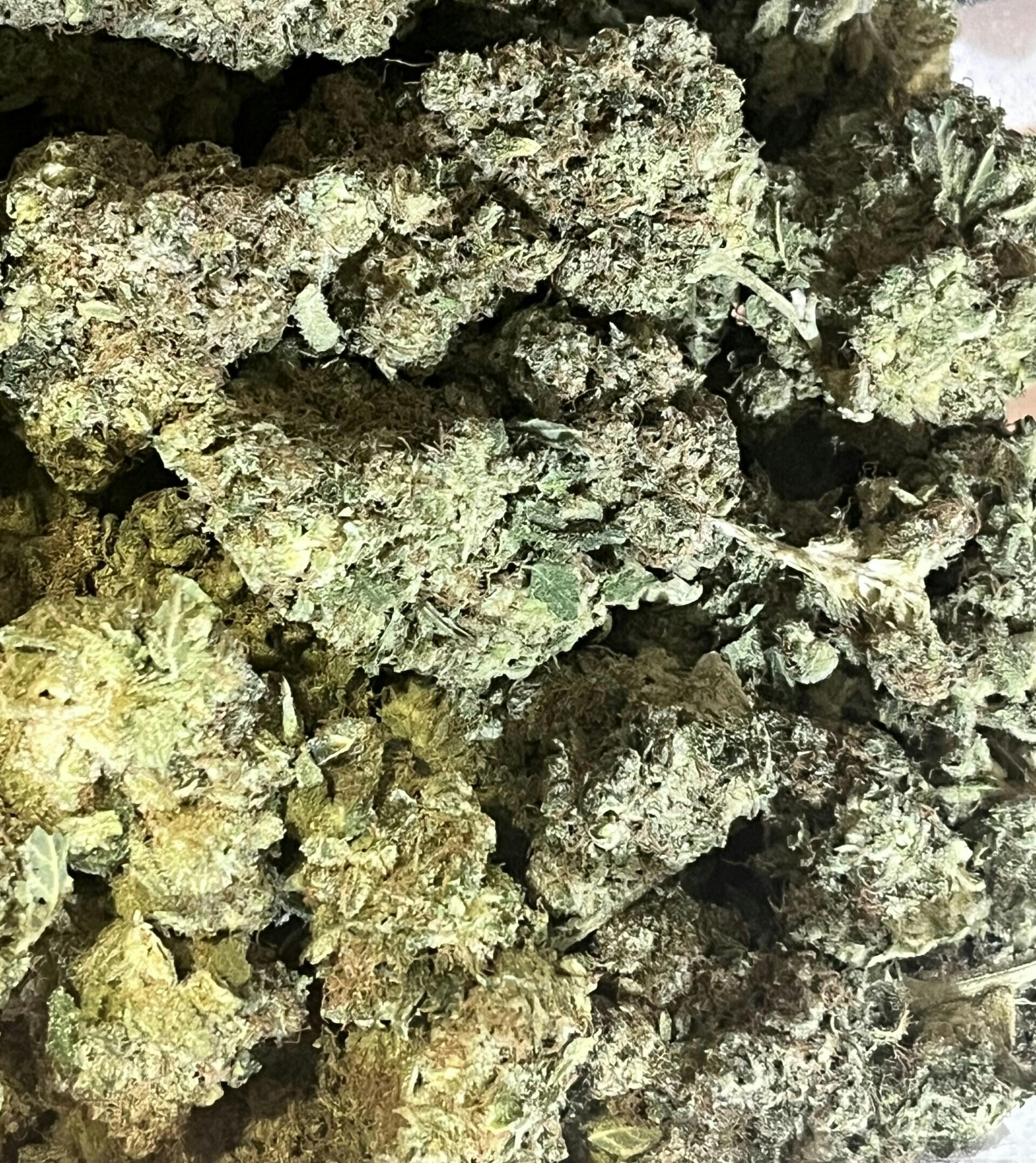 Blackberry Kush - Bulk Flower at Dakota Kind Dispensary