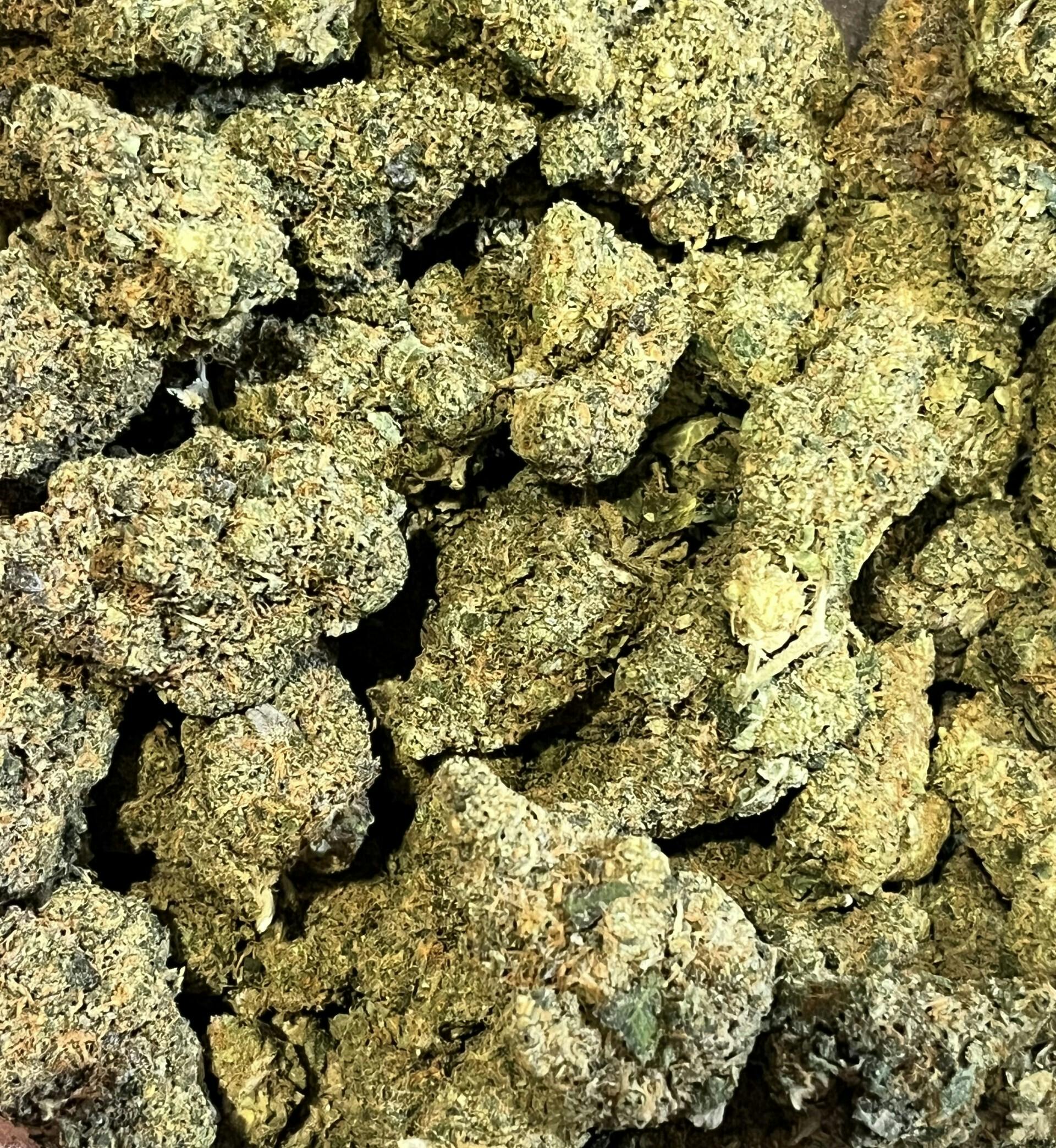 Black Maple
