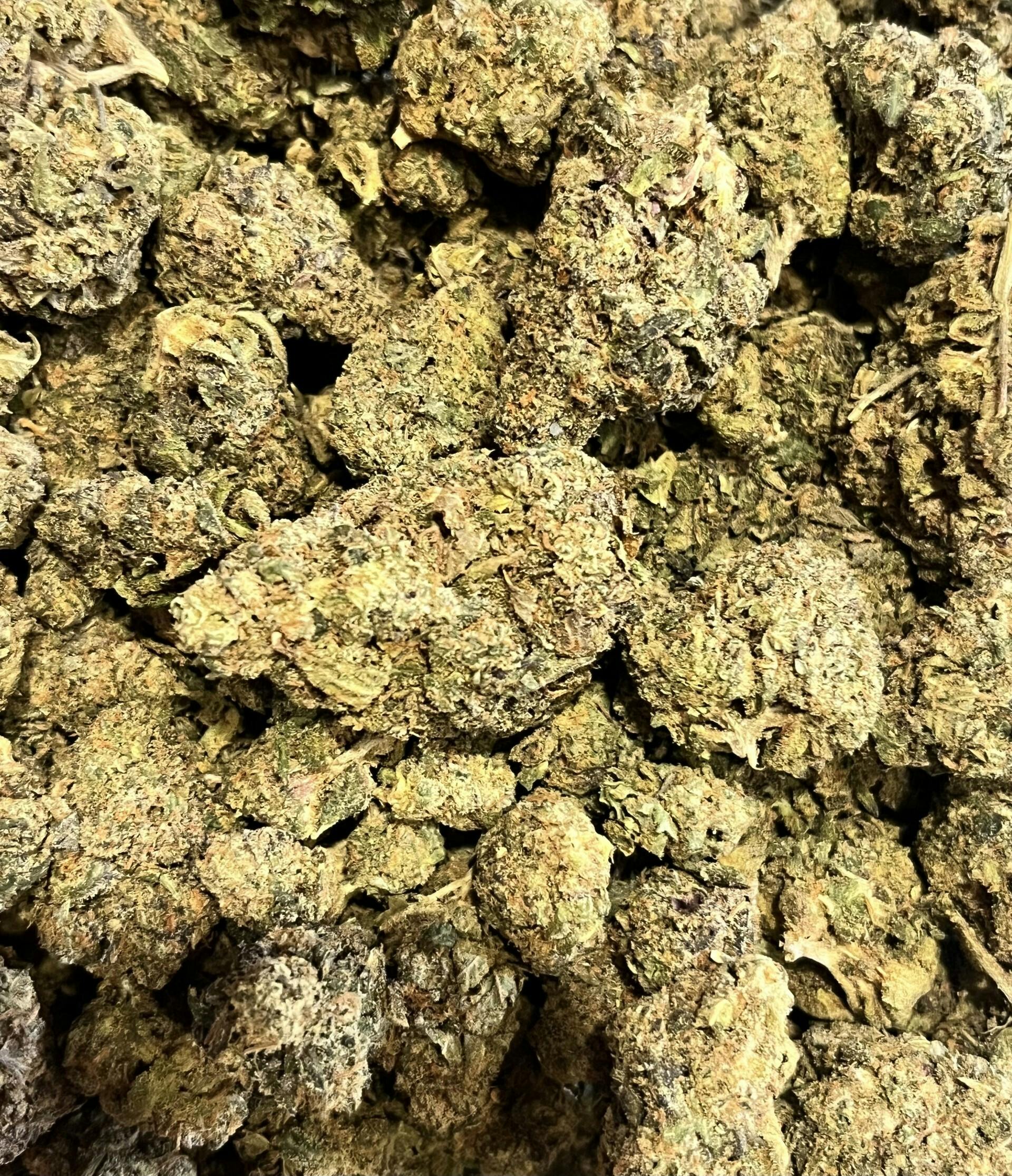 Wildcard x Jokerz #31 Bud