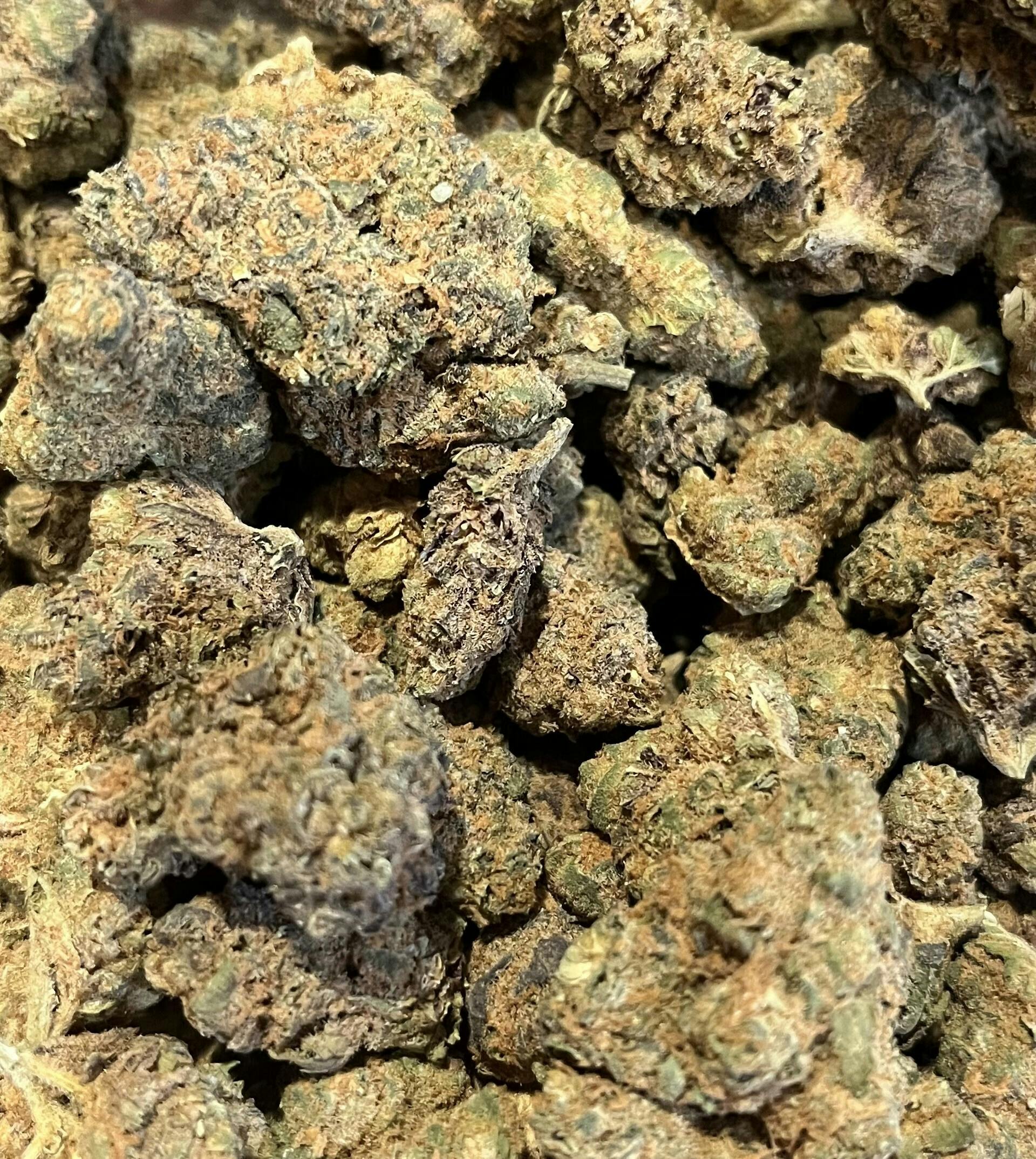Coco Chanel at Dakota Kind Dispensary