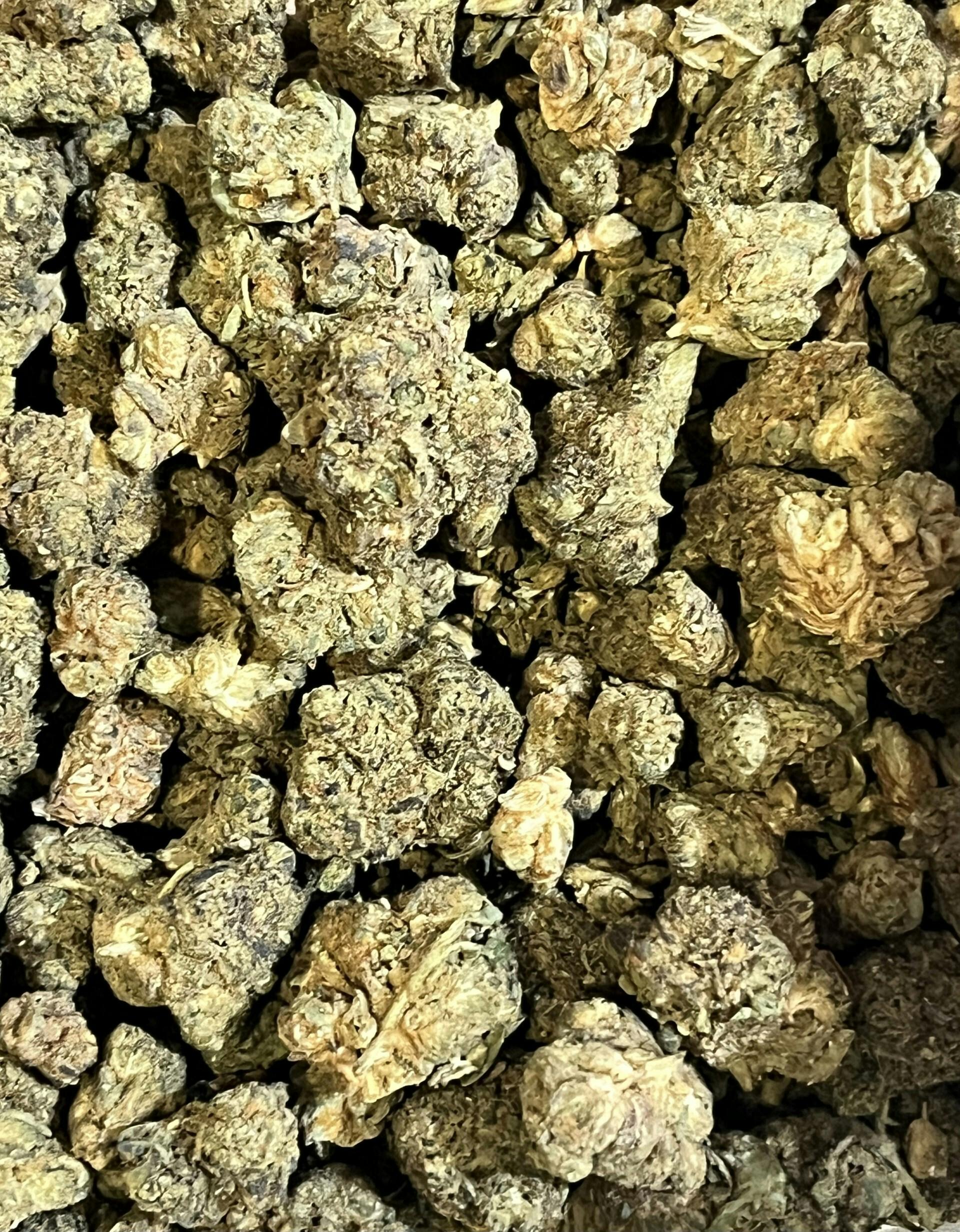 Georgia Pie at Dakota Kind Dispensary