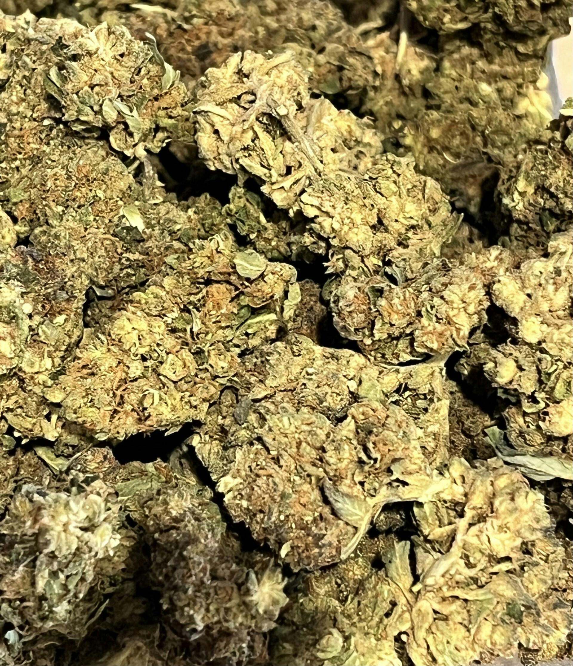 Bread Winner at Dakota Kind Dispensary