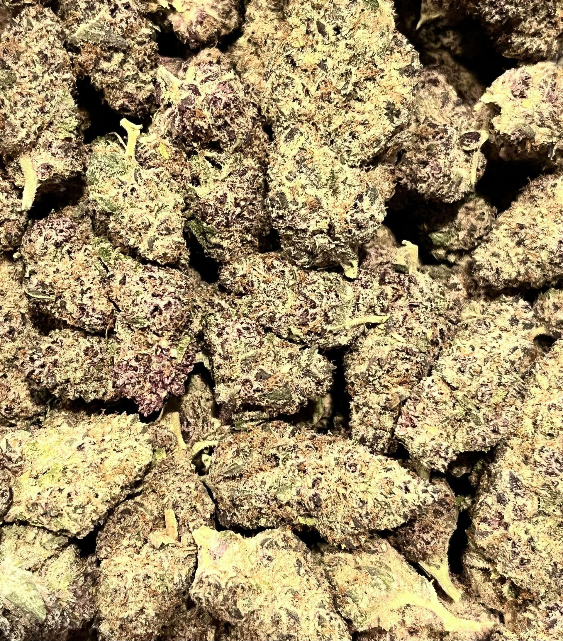 Subzero Bud