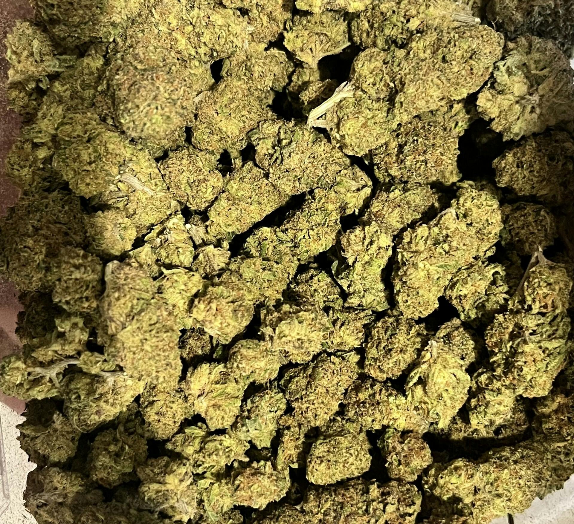 AM Lime - Bulk - DGTR at Dakota Kind Dispensary