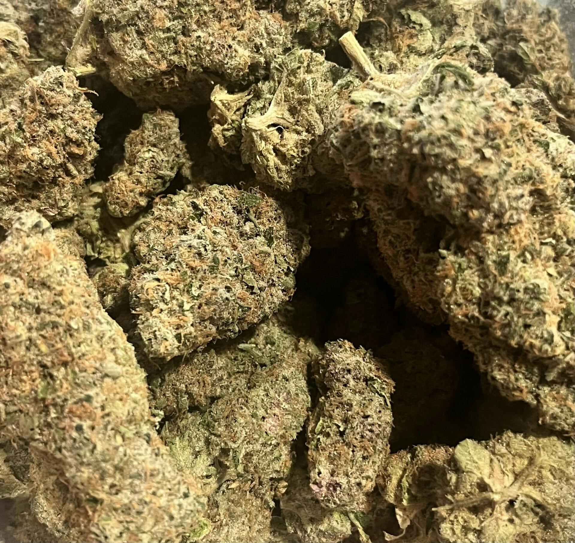 Stank Breath