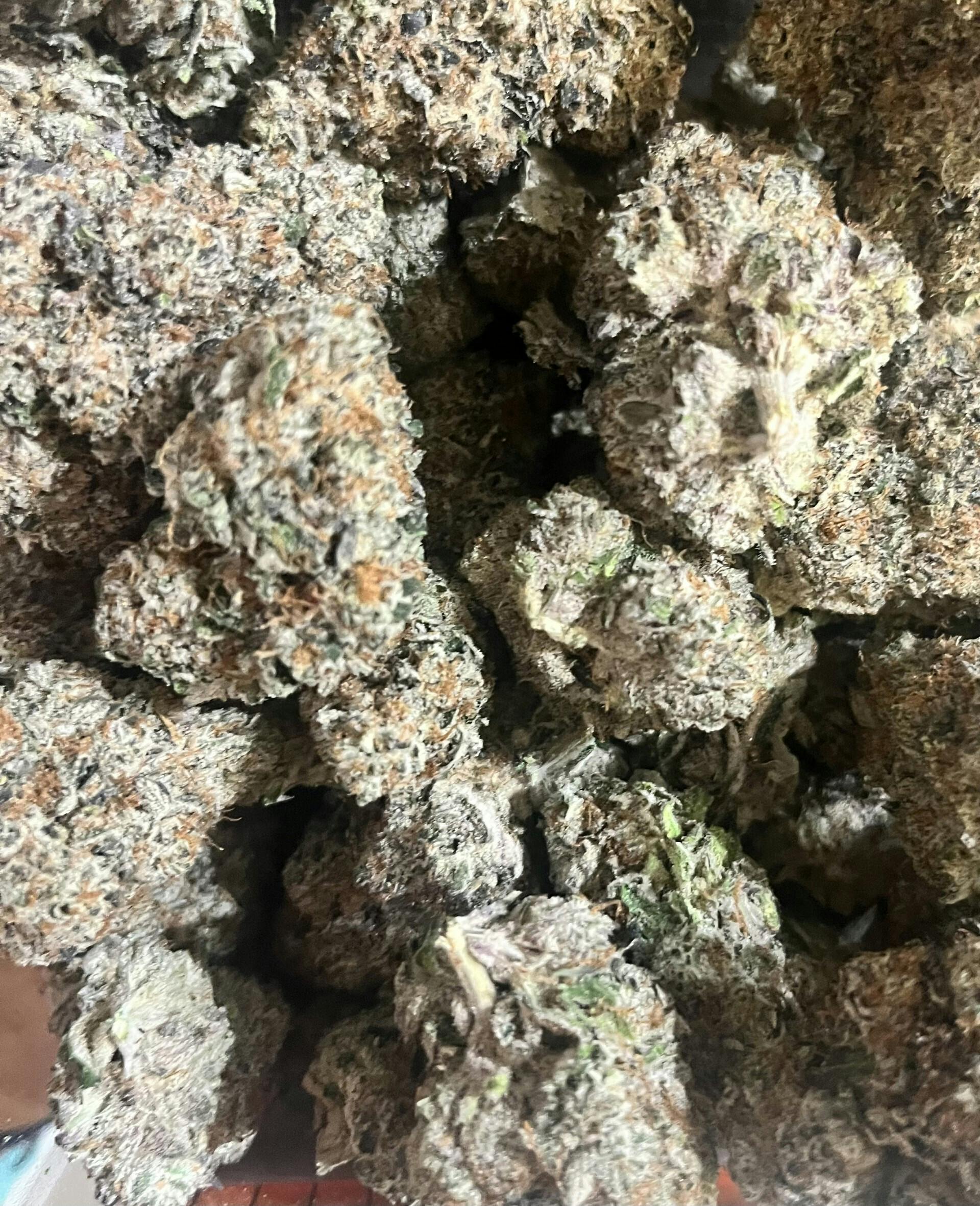 Spectre 16 A Buds