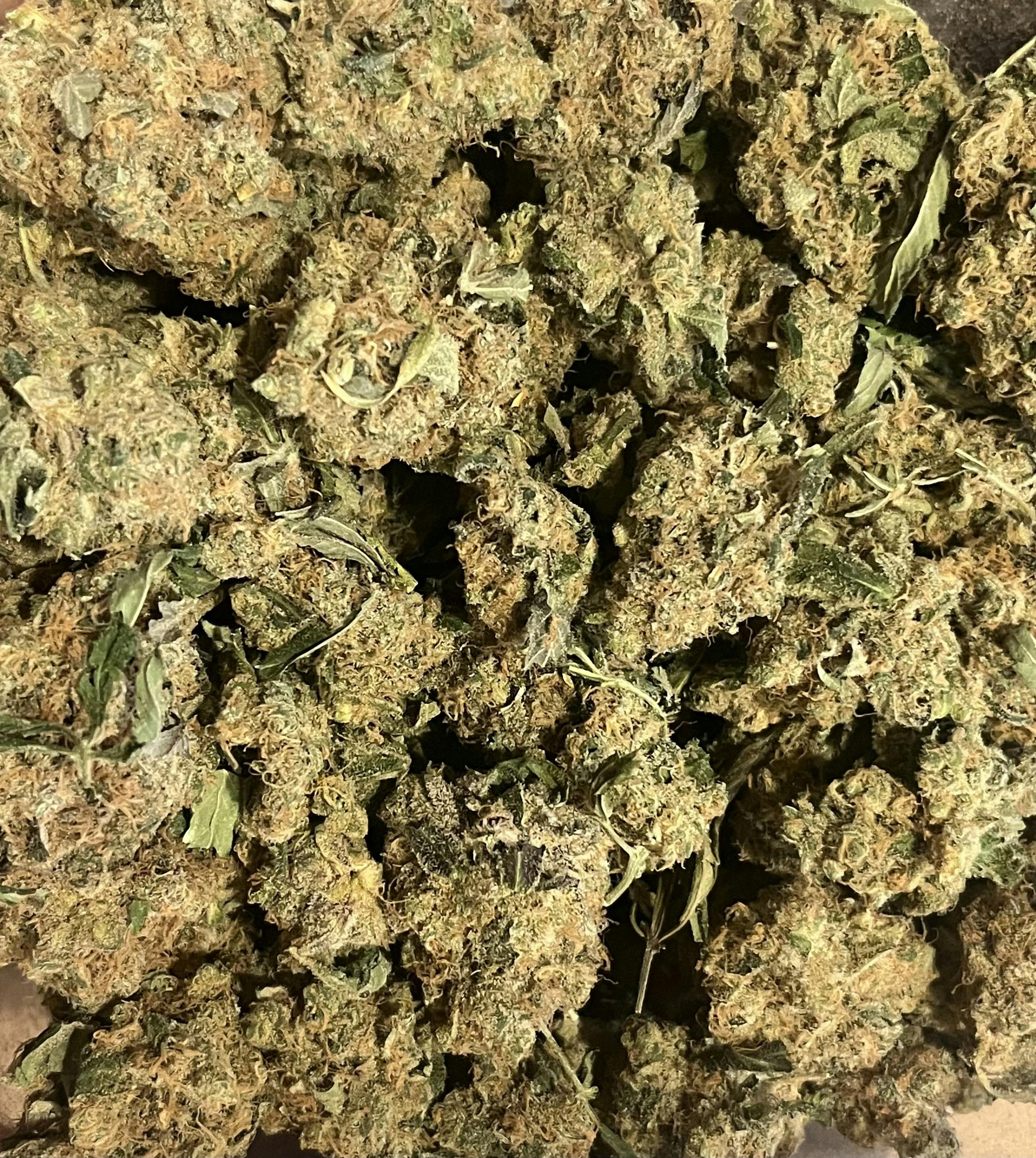 Bubble's Blueberry (24.58%) 060326 at Dakota Kind Dispensary