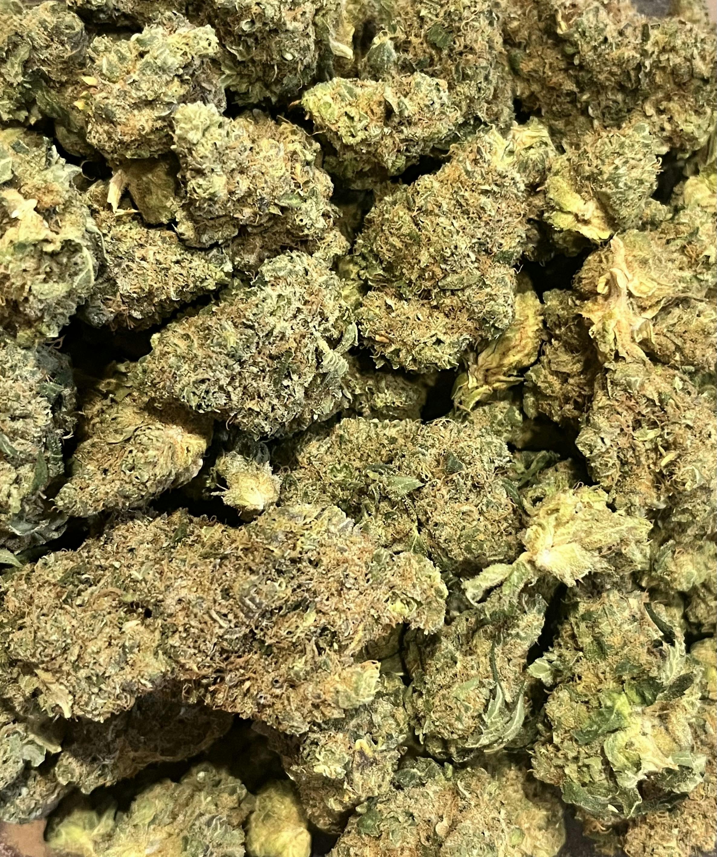 Blueberry Sprinklez (20.77%) 060326 at Dakota Kind Dispensary