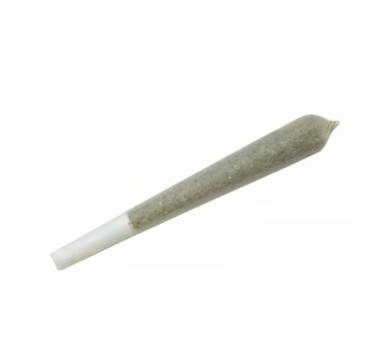 Chem Dawg