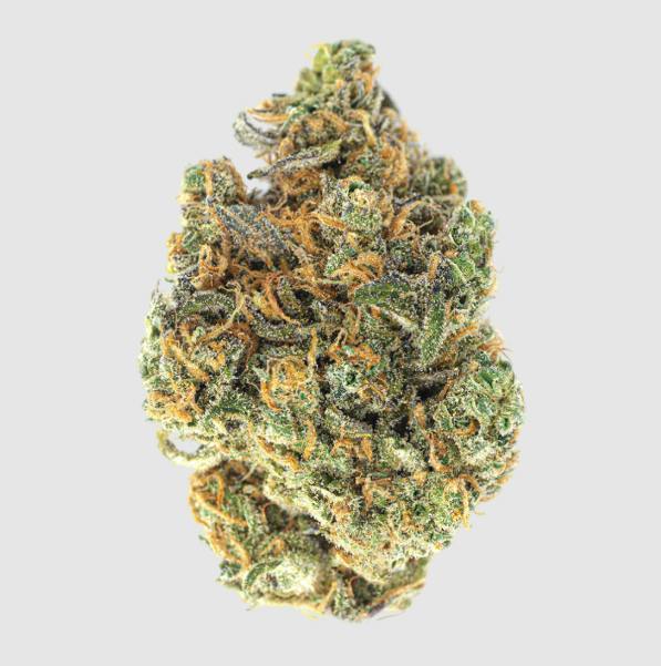 Chico Verde | Pave | 14g pre-pack | hybrid