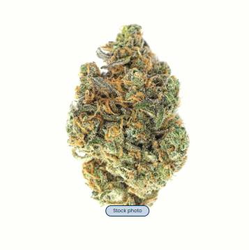 Northern Harvest | Acapulco Gold | 7g pre-pack | Sativa
