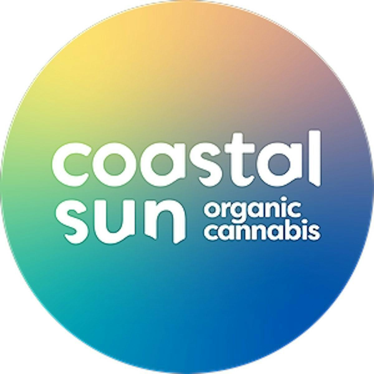Coastal Sun: Space Rocks