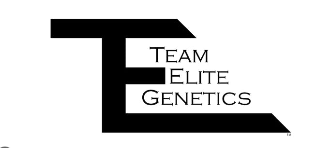 Team Elite Genetics: Rainbow Guava #5