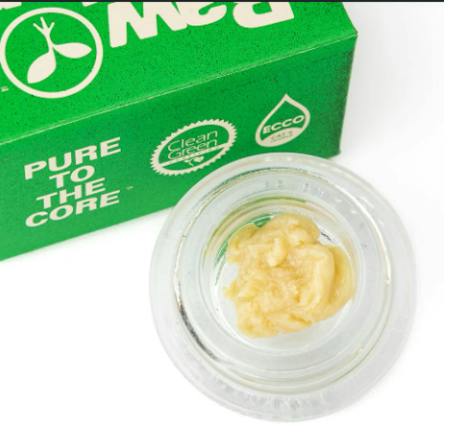 Headband Live Sauce
