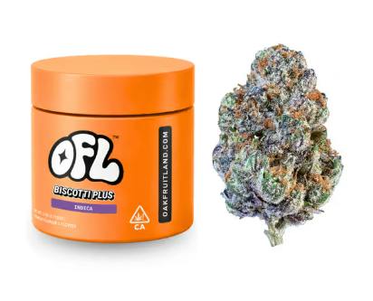 Biscotti Plus | Big Buds Jar | 3.5g