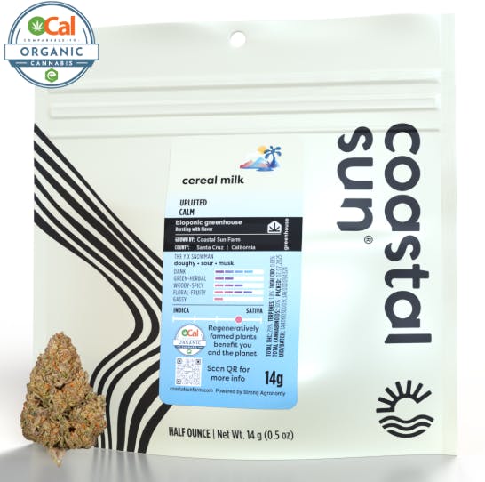 Coastal Sun: Cereal Milk