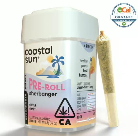 Coastal Sun | Sherbanger | Mini Joints | 0.35g | 10pk