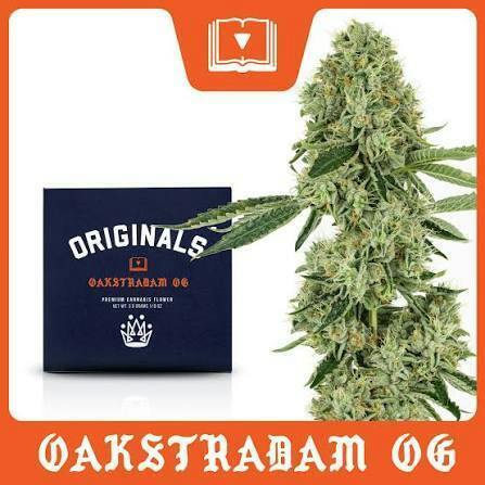 Originals | Oakstradam OG - 3.5g Flower