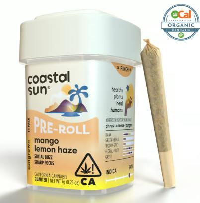COASTAL SUN | MANGO LEMON HAZE | 7 g | 14 Pack