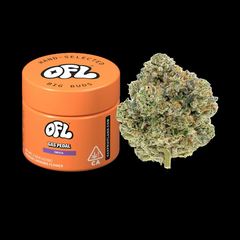 GAS PEDAL | 3.5G