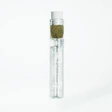 JW Travel Chillum