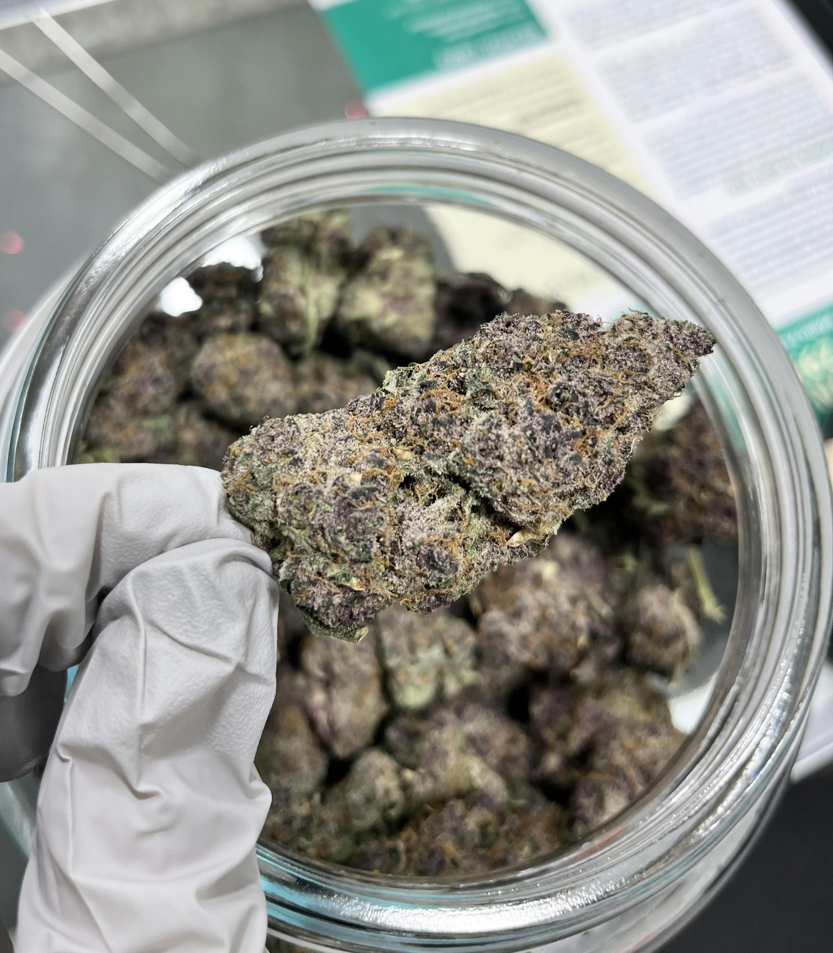 Tropicana Cherry at The Dispensary.