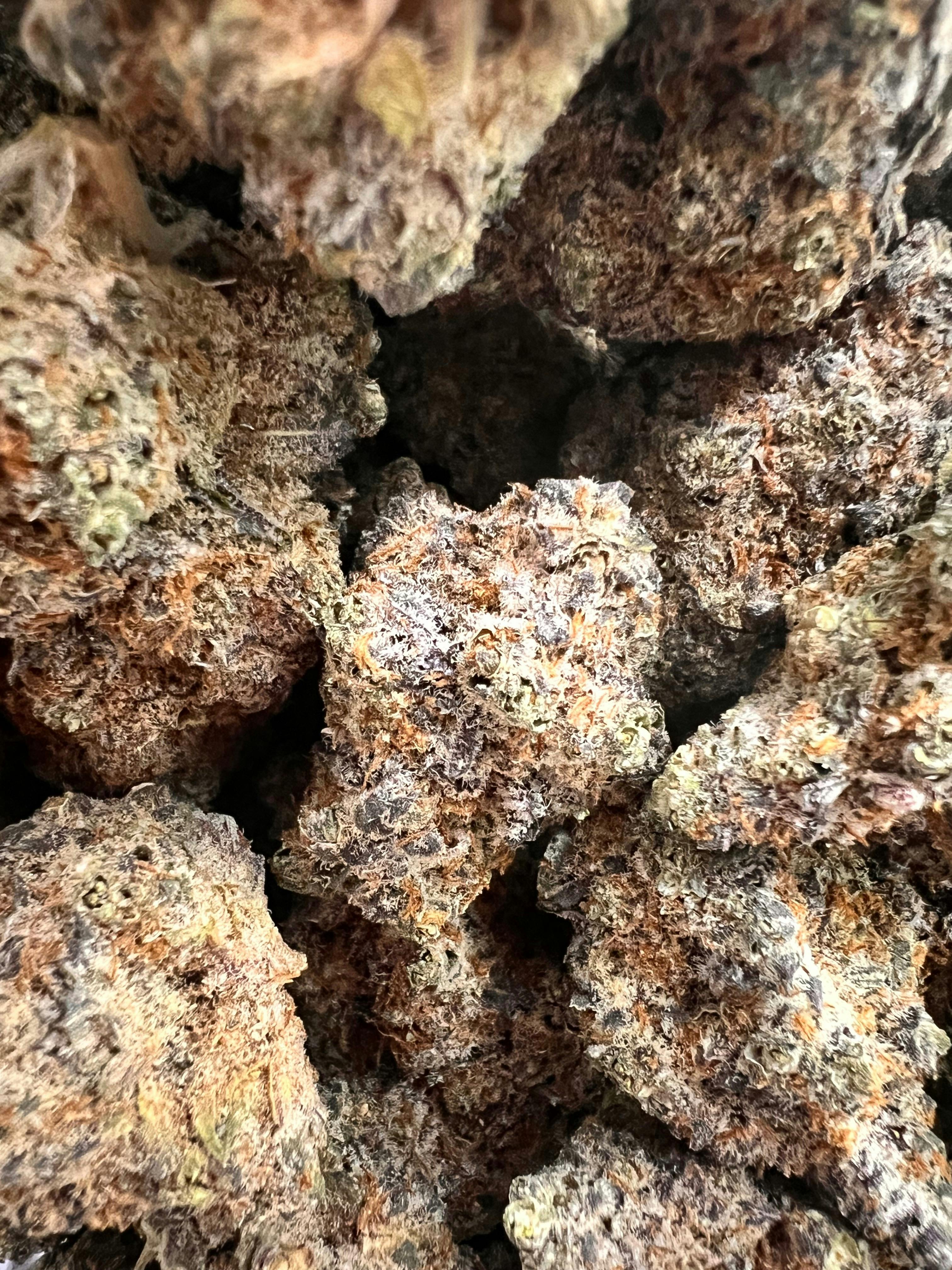 Northern Lights at The Dispensary.