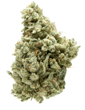 GG4 - Flower