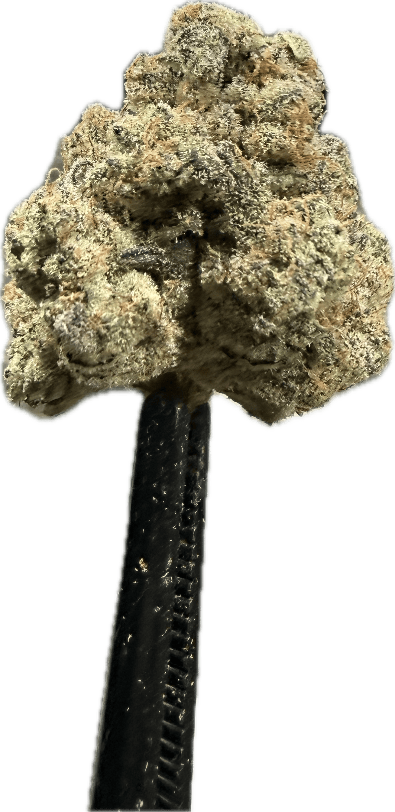 DULCE DE PAPAYA (IH)