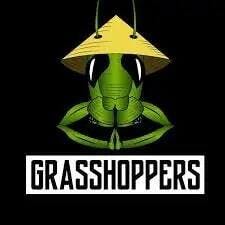 Grasshoppers - Infused Classic 1g Preroll - Indica