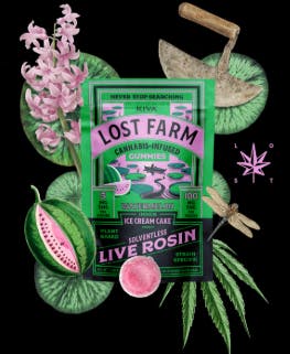 LOST FARM - EDIBLE - 100MG - WATERMELON ICE CREAM