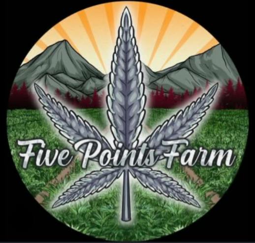 .5g Live Hash Rosin Cart | Riptide Rush | Hybrid | Five Points Farms