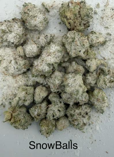 7g Snowball | Purple co