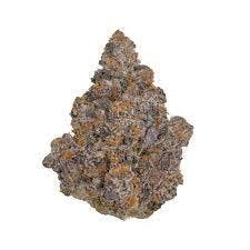 Black Cherry Gelato