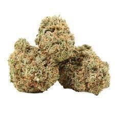 Gelato 33