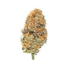 Kernal Putang #3 (3.5g Flower)