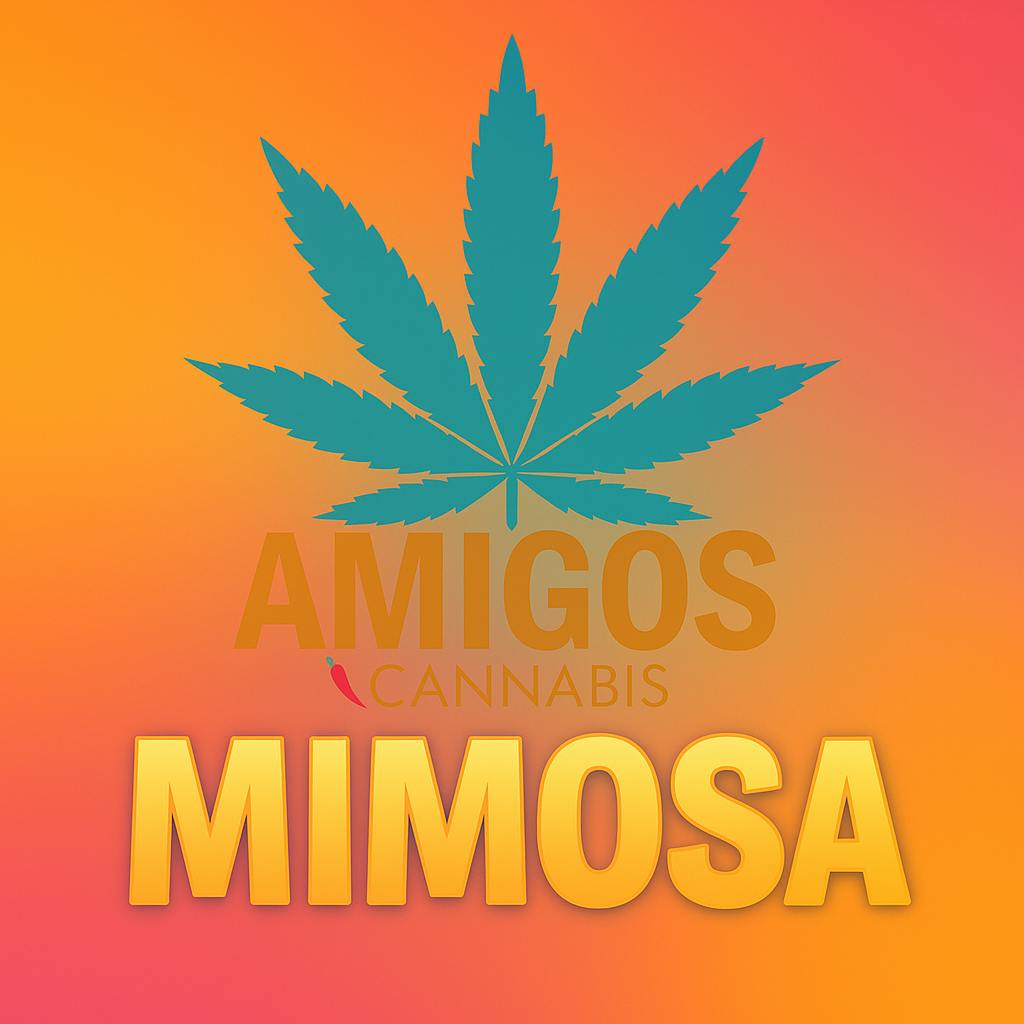 Mimosa