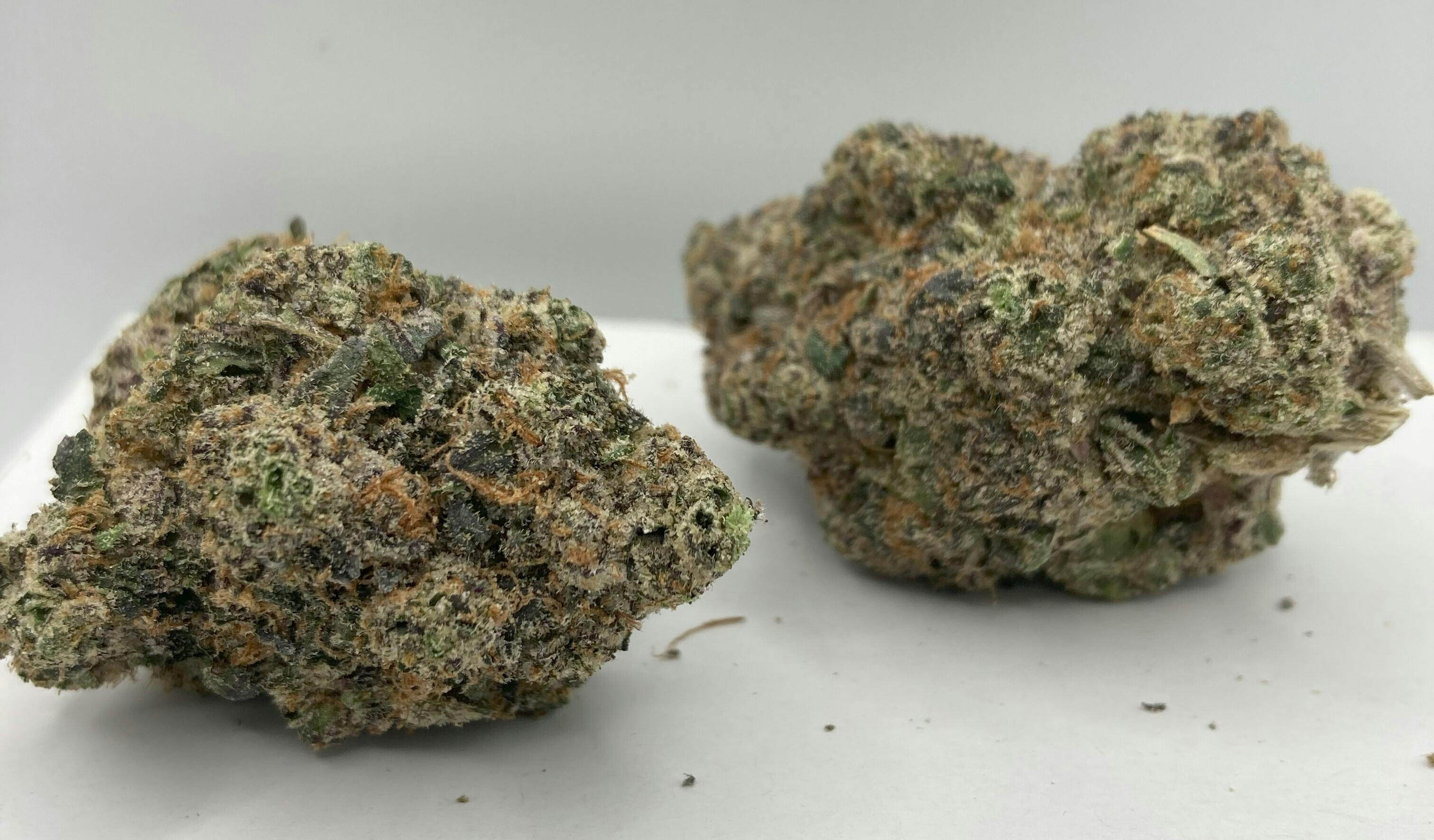 Blue Runts Pre Ground Bulk Shake