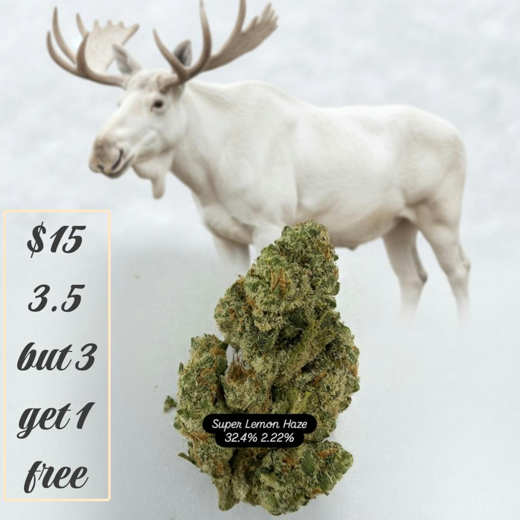 WM-Infused - Super Lemon Haze - Super Lemon Haze - 1g $4 5 FOR $15