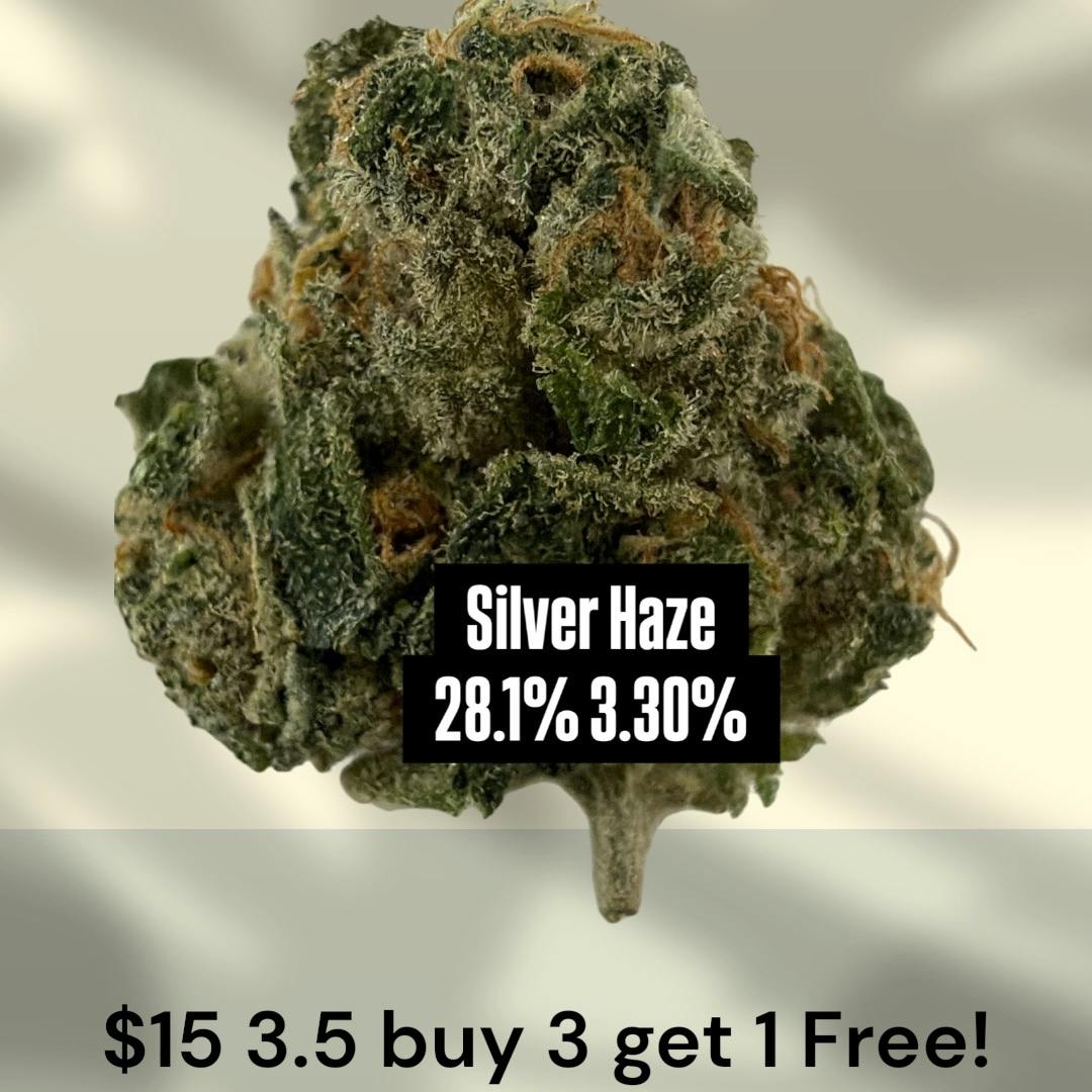 WM- Silver Haze - Silver Haze - 3.5g $15 buy 3 get 1 Free!