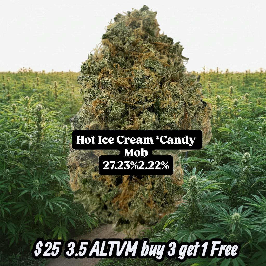 ALTVM | Hot Ice Cream | Flower | 3.5g by ALTVM