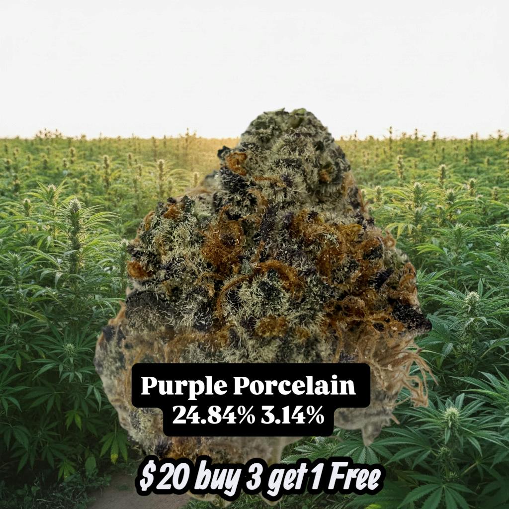 3.5G UNIT - PURPLE PORCELAIN - 3.5g 420 buy 3 get 1 Free!