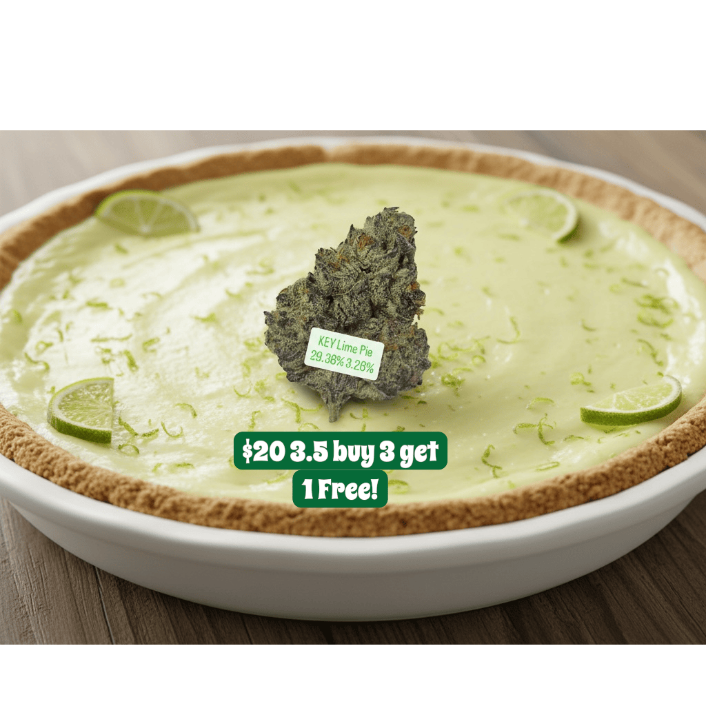 Levotic | 3.5gr | Key Lime Pie $20 BUY 3 GET 1 FREE!