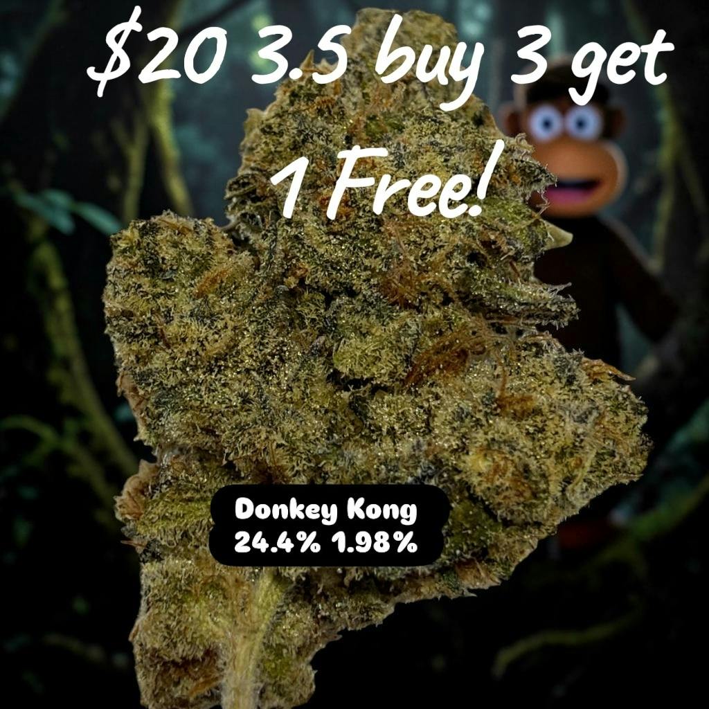 (The New New) Donkey Kong - Sativa - 24.4/1.98 - 3.5g $20 BUY 3 GET 1 FREE!
