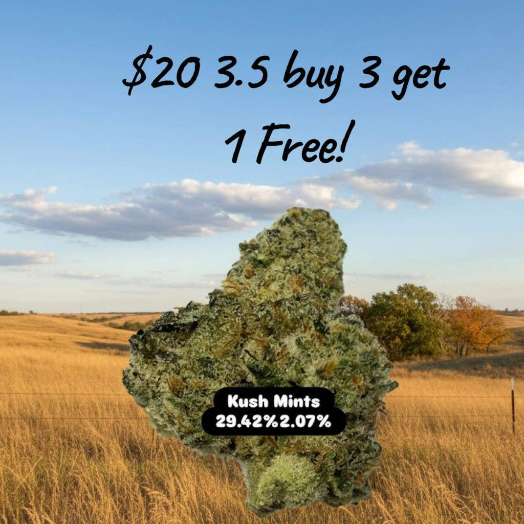 (The New New) Kush Mints - Hybrid - 29.42/2.07 - 3.5g $20 BUY 3 GET 1 FREE!
