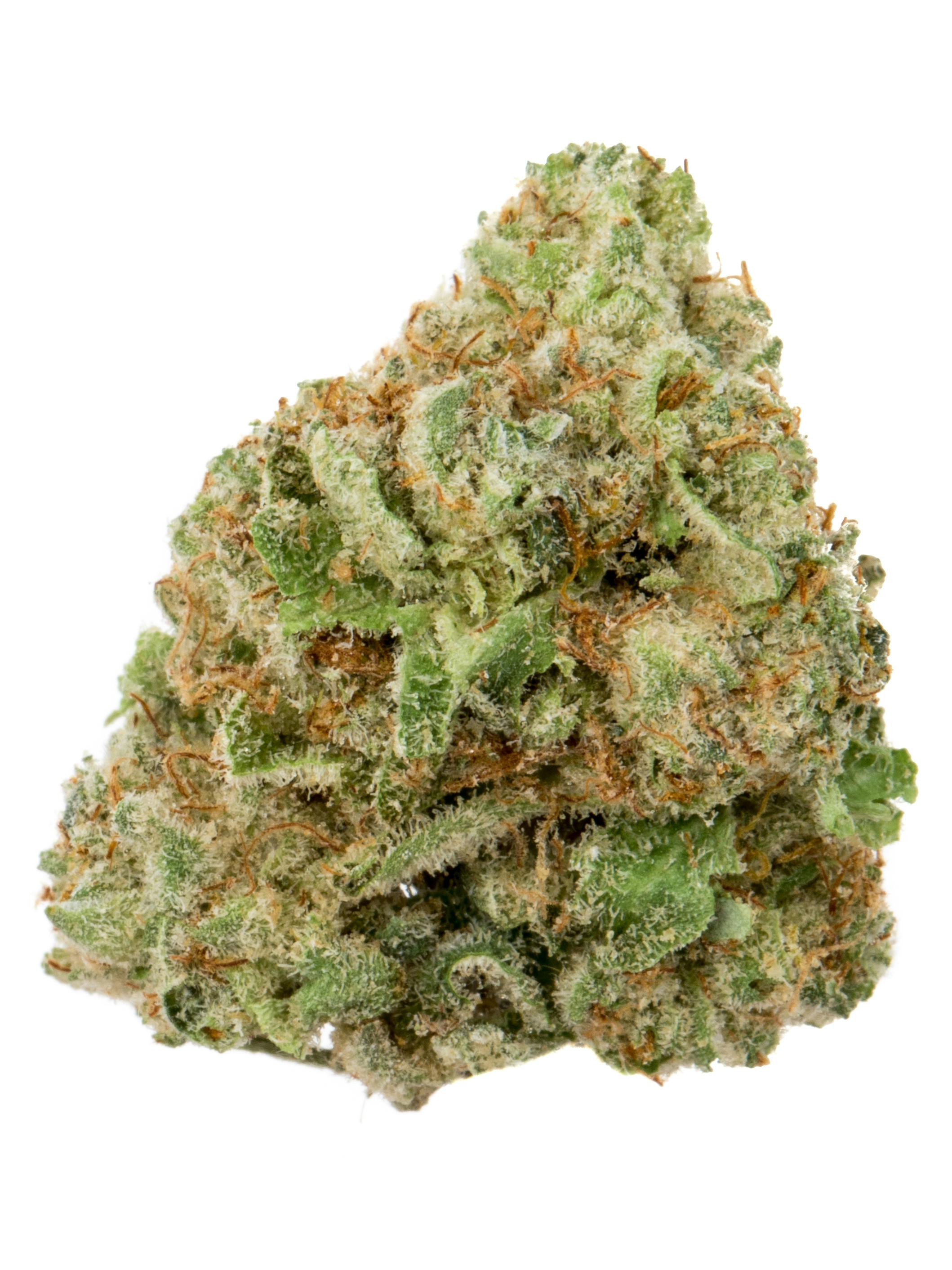 Animal Cookies x Kush Mints